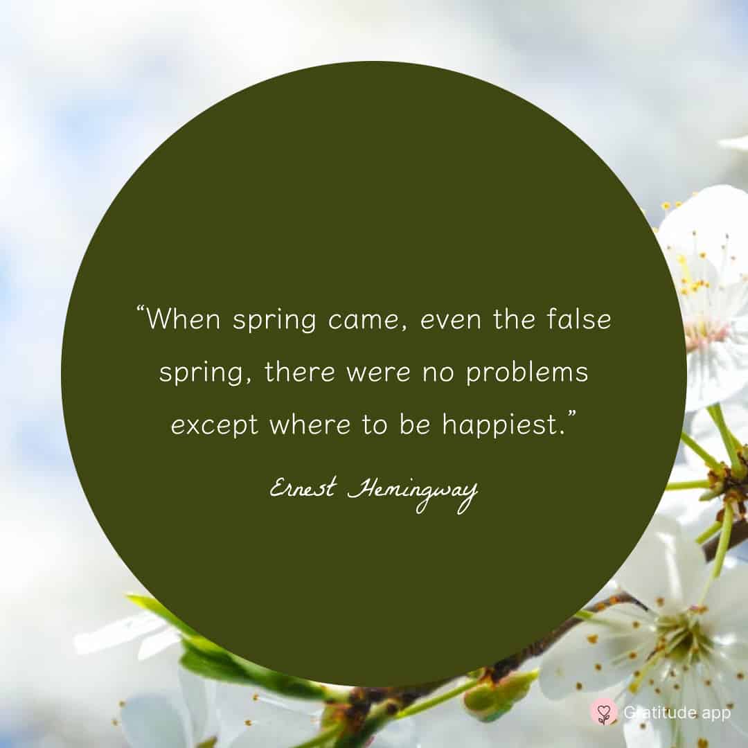 sunny spring day quotes