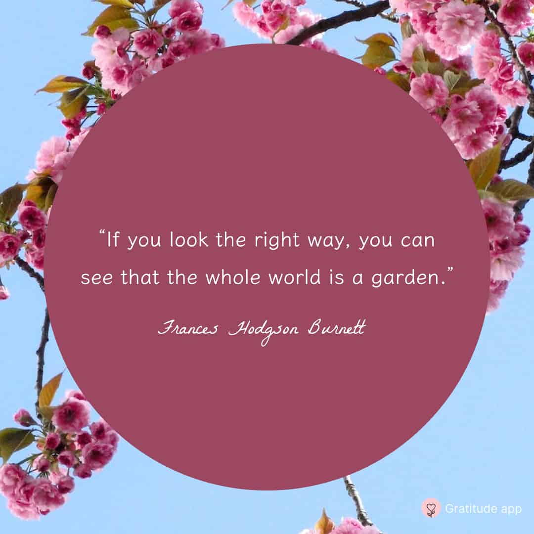 Image with a spring quote by Frances Hodgson Burnett