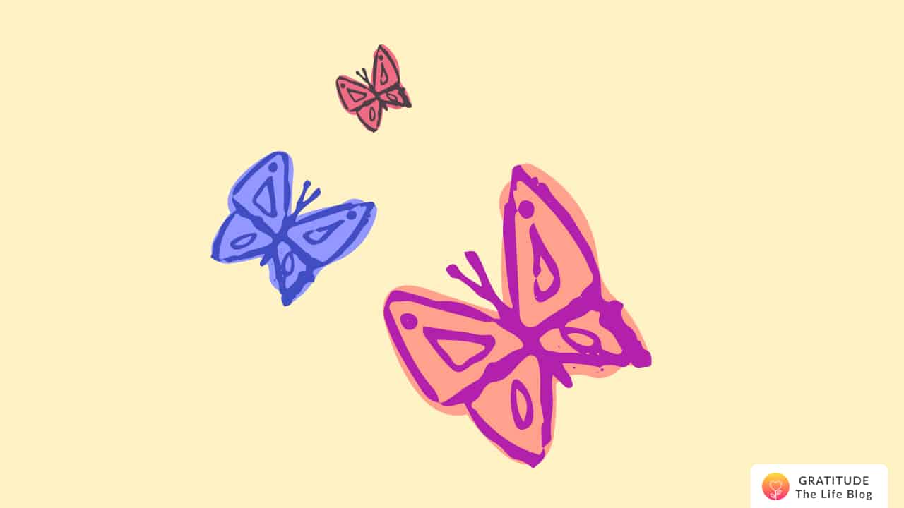 Image with three illustrated butterflies