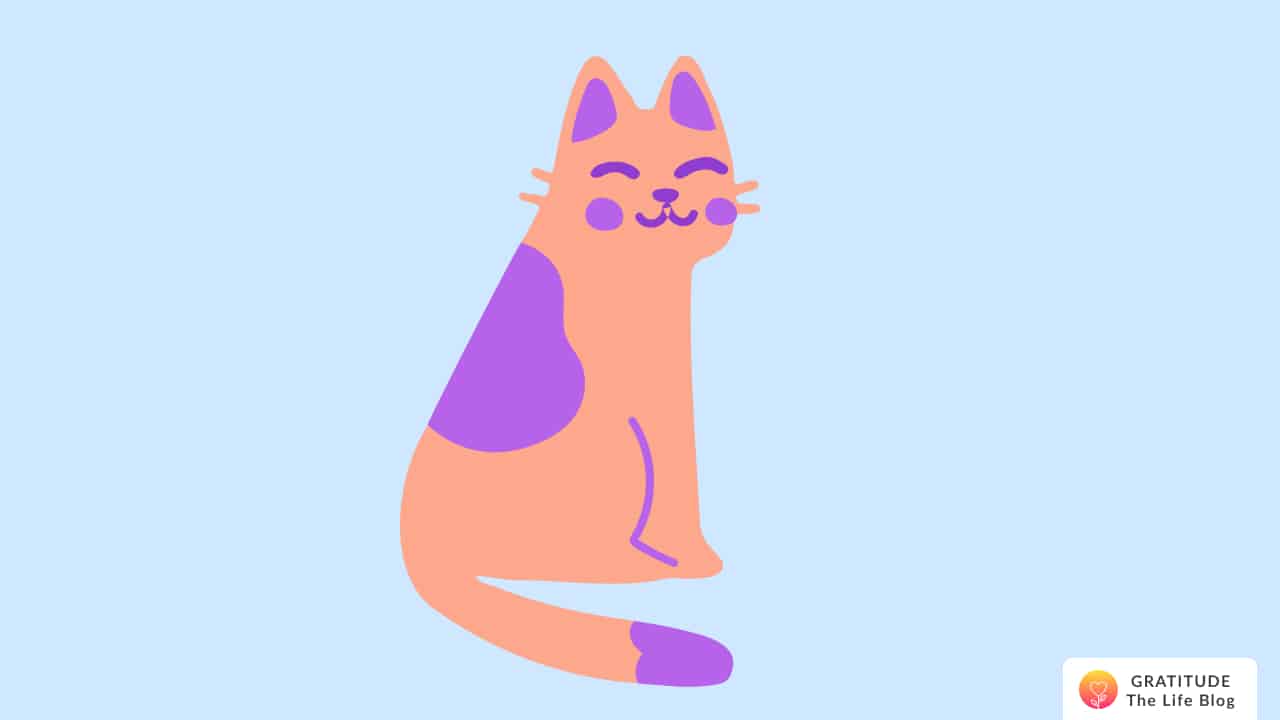 Image with illustration of a smiling cat