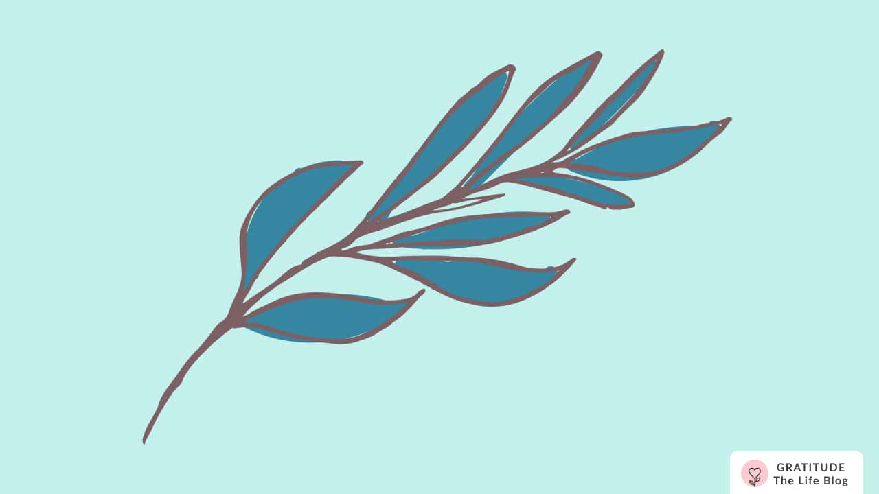 Illustration of a branch with leaves