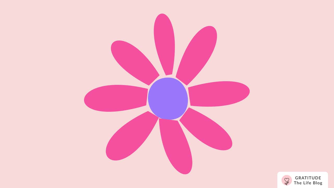 Illustration of a pink flower