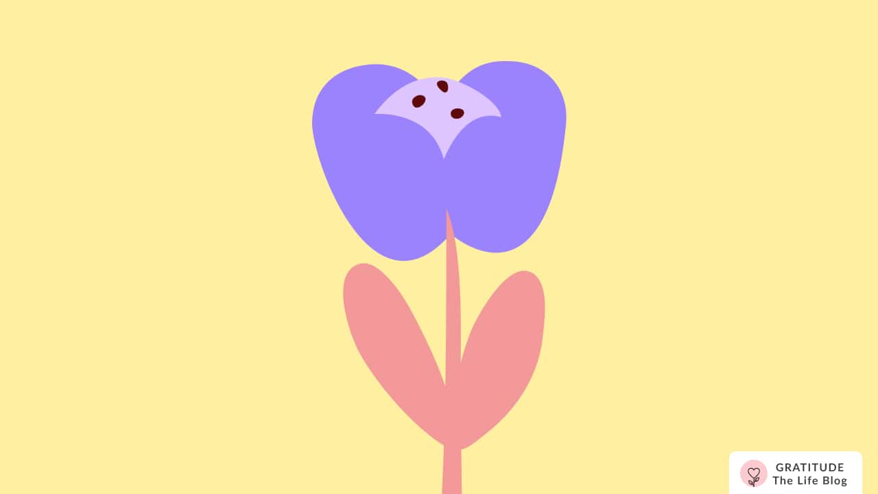 Illustration of a flower