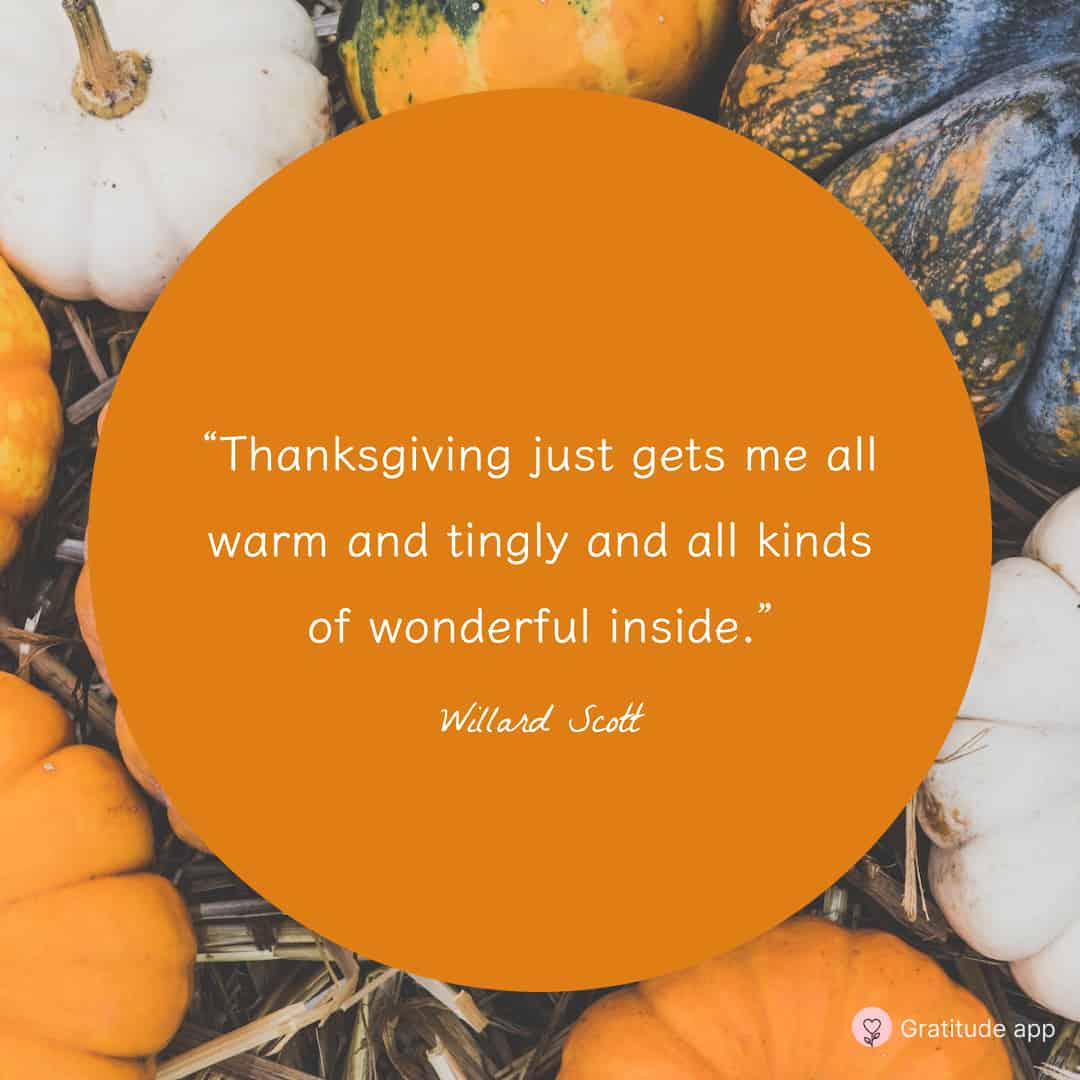 Image with thanksgiving quotes by Willard Scott