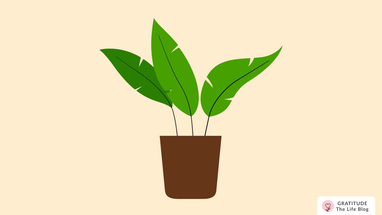 Image with illustration of a plant in a pot