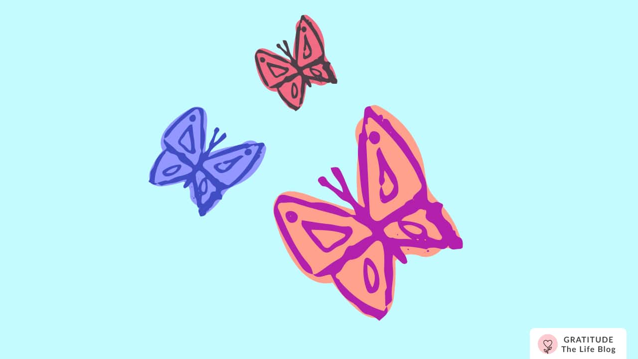 Image with illustration of three butterflies