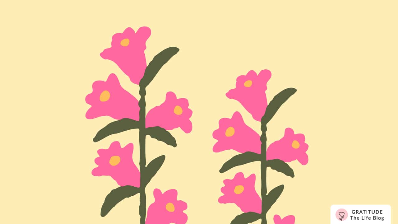 Image with illustration of two flowers