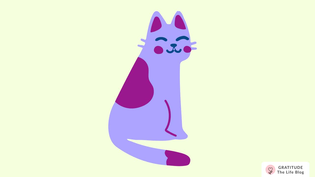 Image with illustration of a cat
