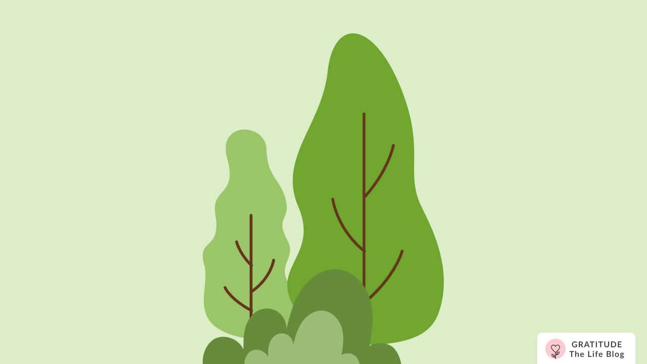 Image with illustration of trees