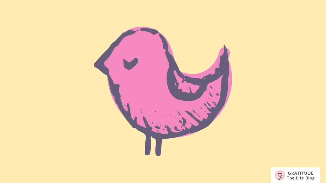 Image with illustration of a pink bird