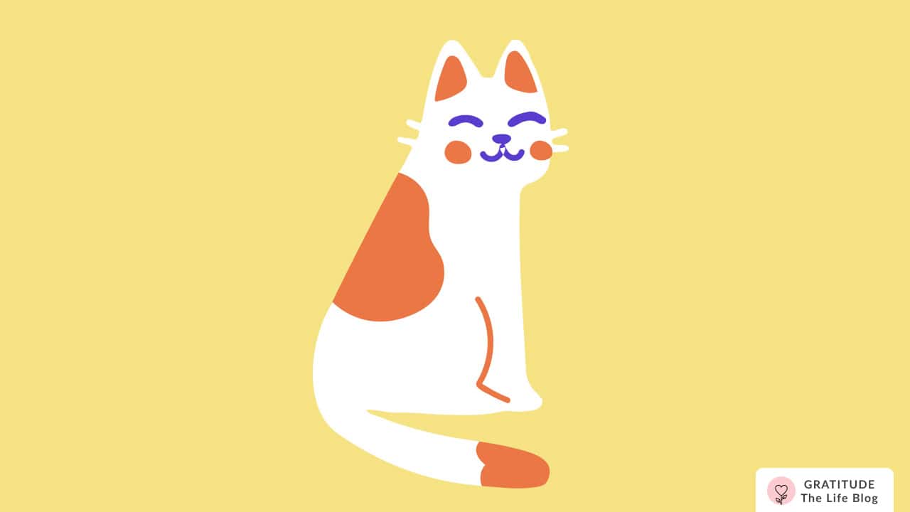 Image with illustration of smiling cat