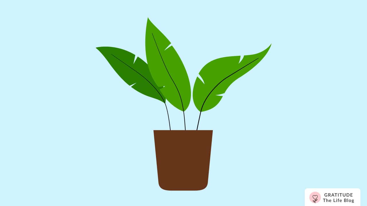 Image with illustration of plant pot