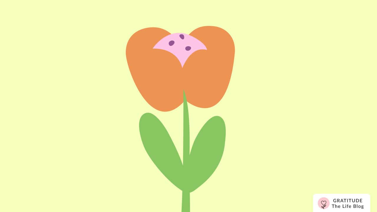 Image with illustration of an orange flower