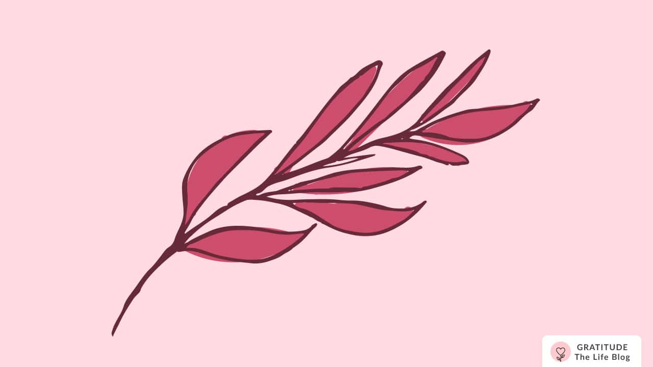 Image with illustration of a branch with pink leaves