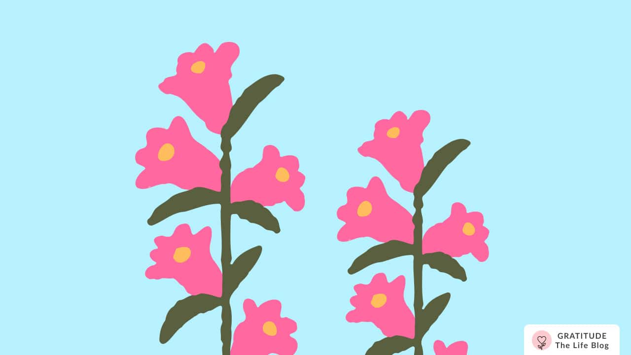 Image with illustration of two flowering plants