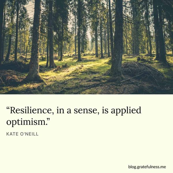 The Best Resilience Quotes to Give You The Strength You Need