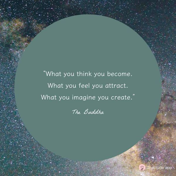 40+ Law of Attraction Quotes to Live the Life of Your Dreams