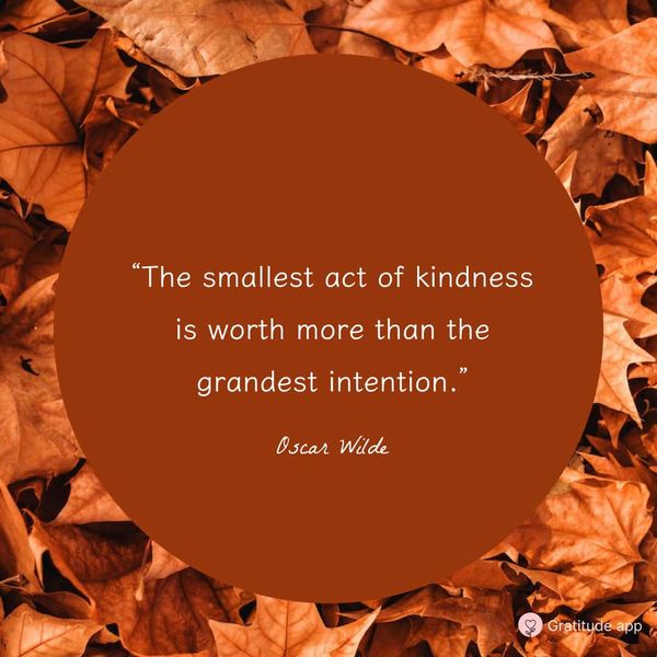 60+ Best Thanksgiving Quotes to Spread Gratitude Everywhere